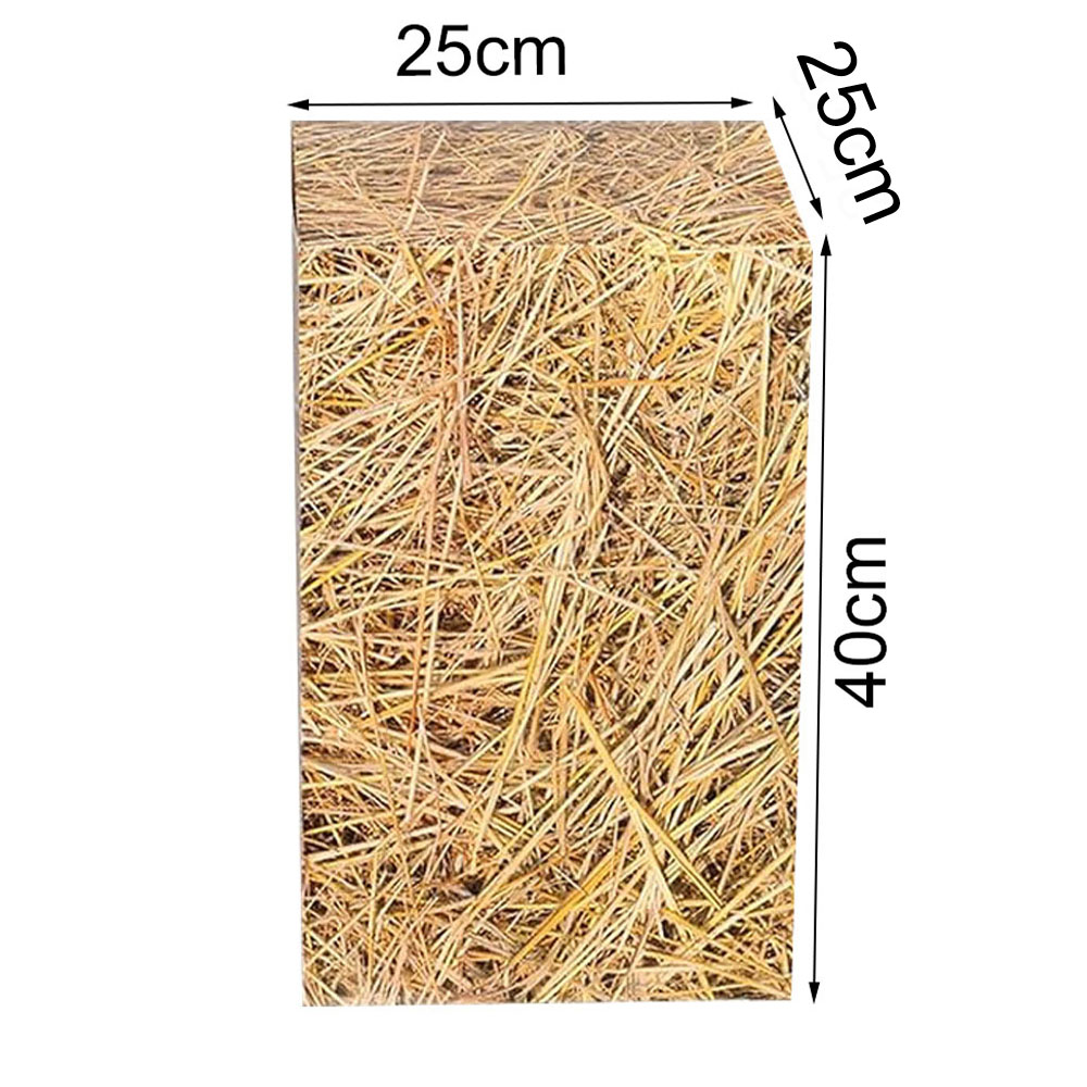 Decorazioni per feste di compl - Cowboy Hat Straw recensione e prezzo